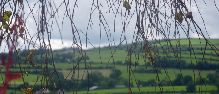 Irish Kilkenny Hills Irish Kilkenny Hills